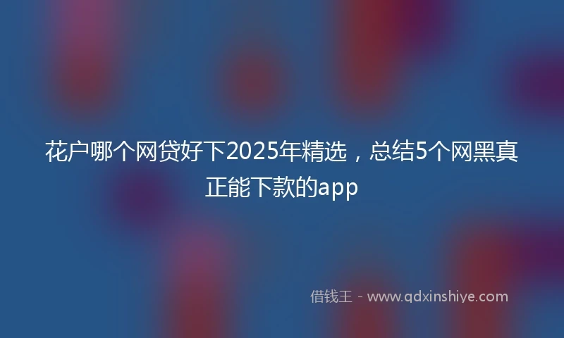 花户哪个网贷好下2025年精选，总结5个网黑真正能下款的app