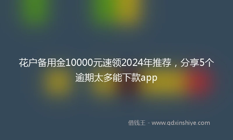 花户备用金10000元速领2024年推荐，分享5个逾期太多能下款app
