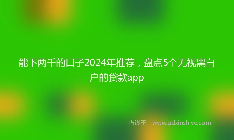 能下两千的口子2024年推荐，盘点5个无视黑白户的贷款app