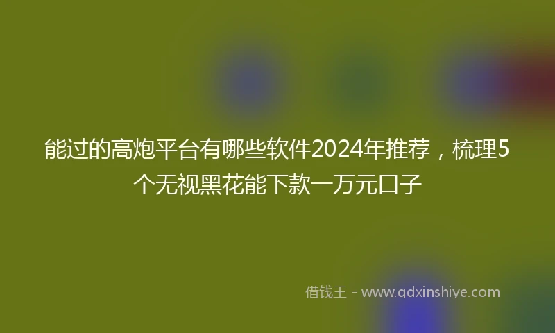 能过的高炮平台有哪些软件2024年推荐，梳理5个无视黑花能下款一万元口子