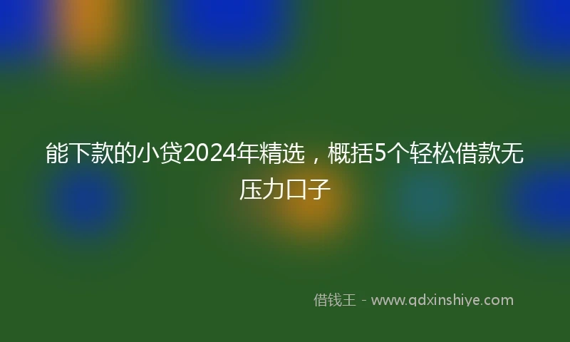 能下款的小贷2024年精选，概括5个轻松借款无压力口子