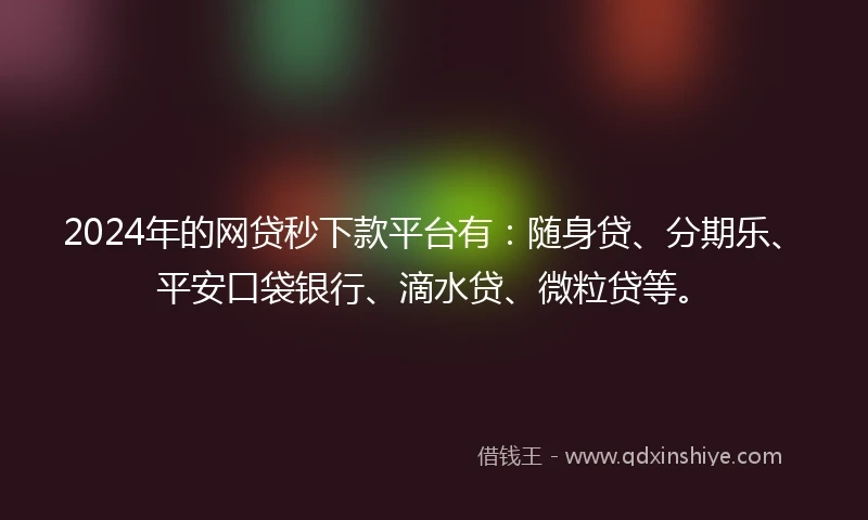 2024年的网贷秒下款平台有：随身贷、分期乐、平安口袋银行、滴水贷、微粒贷等。