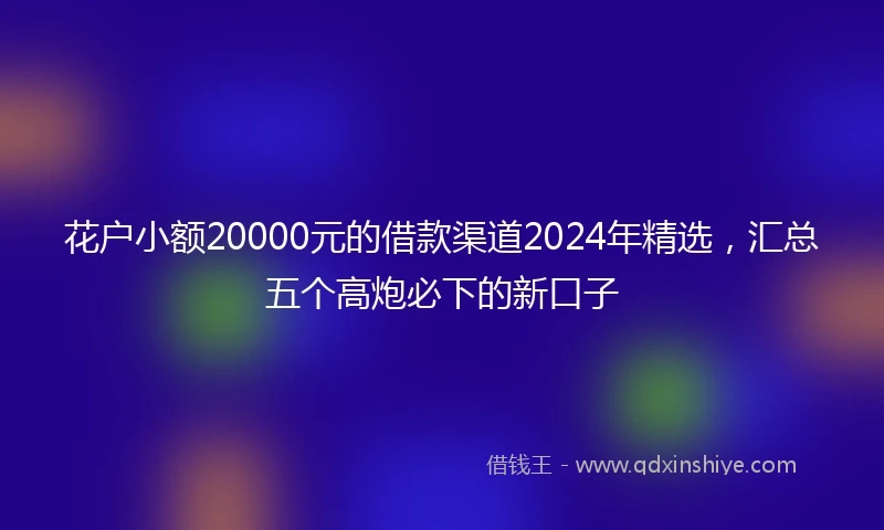 花户小额20000元的借款渠道2024年精选，汇总五个高炮必下的新口子