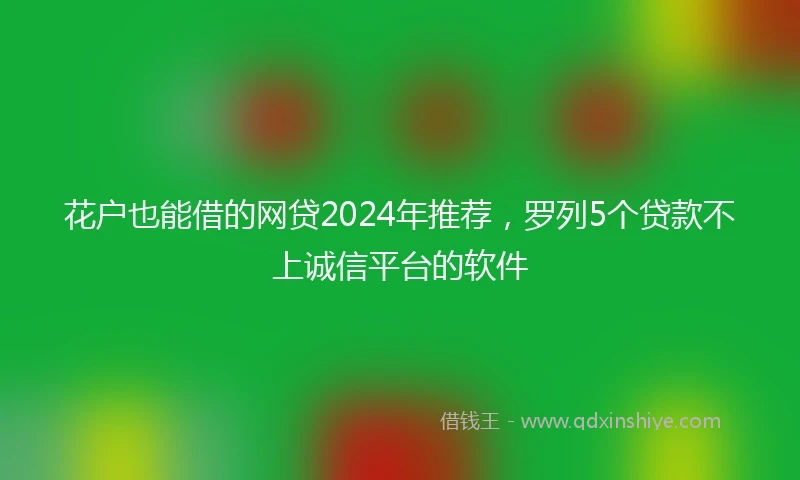 花户也能借的网贷2024年推荐，罗列5个贷款不上诚信平台的软件