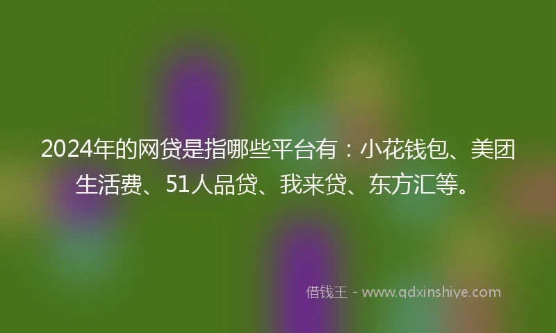 2024年的网贷是指哪些平台有：小花钱包、美团生活费、51人品贷、我来贷、东方汇等。