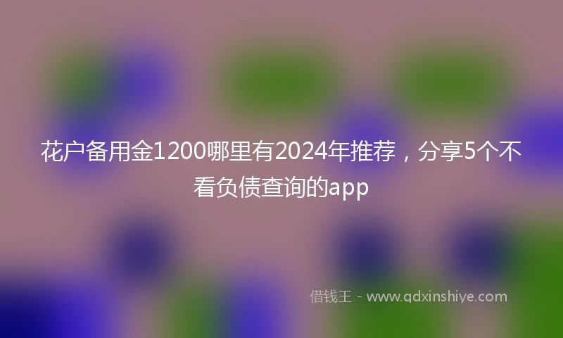 花户备用金1200哪里有2024年推荐，分享5个不看负债查询的app