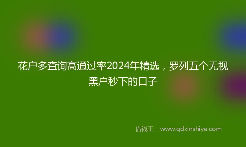 花户多查询高通过率2024年精选，罗列五个无视黑户秒下的口子