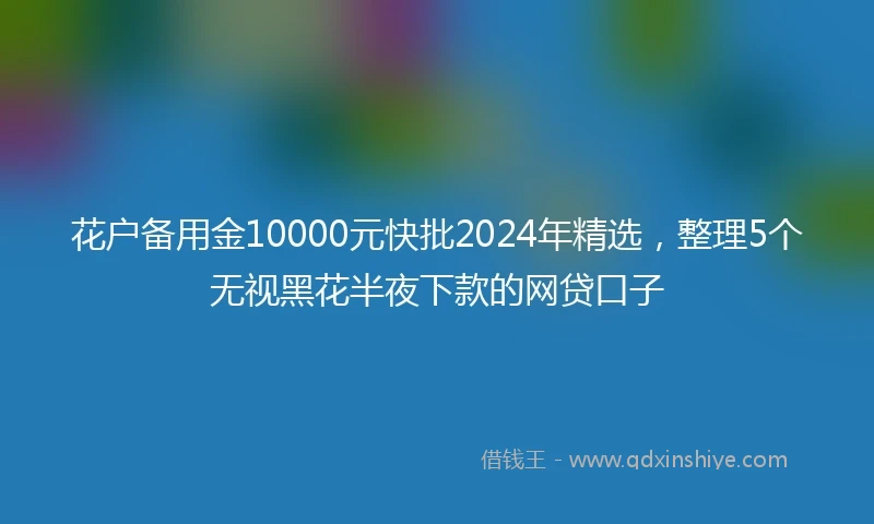 花户备用金10000元快批2024年精选，整理5个无视黑花半夜下款的网贷口子