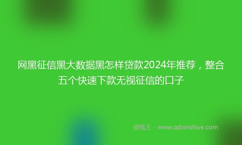 网黑征信黑大数据黑怎样贷款2024年推荐，整合五个快速下款无视征信的口子