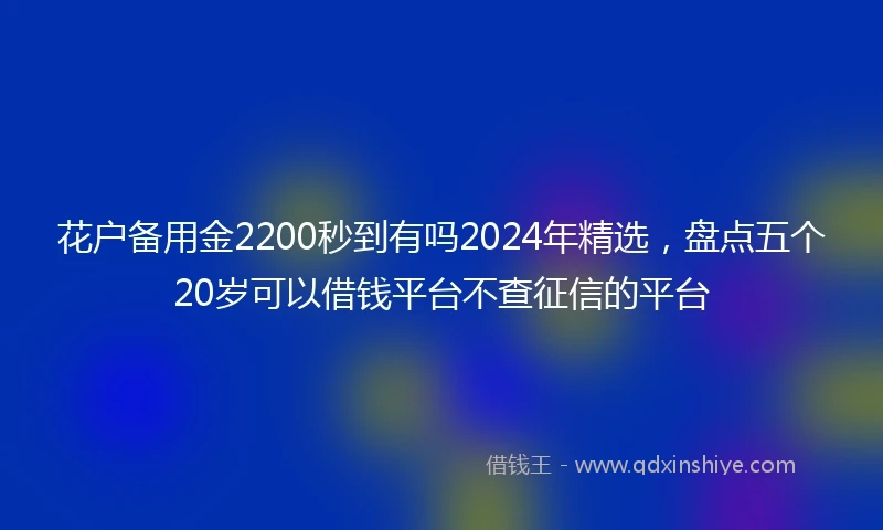花户备用金2200秒到有吗2024年精选，盘点五个20岁可以借钱平台不查征信的平台
