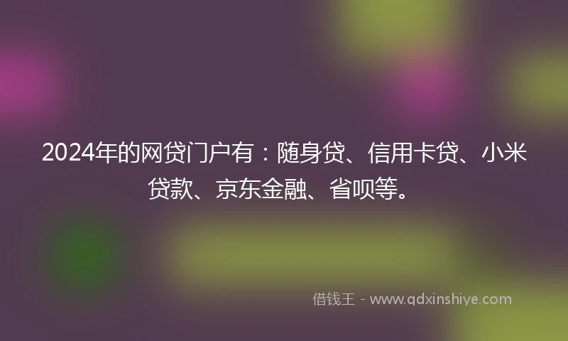 2024年的网贷门户有：随身贷、信用卡贷、小米贷款、京东金融、省呗等。