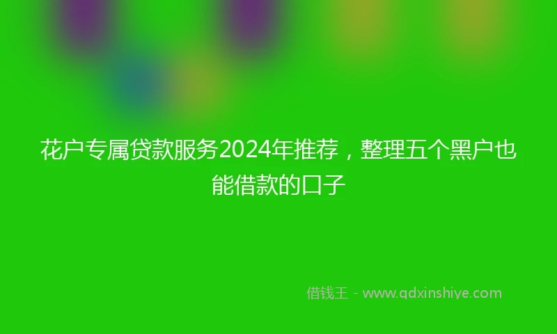 花户专属贷款服务2024年推荐，整理五个黑户也能借款的口子