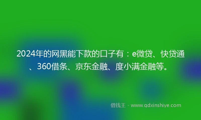 2024年的网黑能下款的口子有：e微贷、快贷通、360借条、京东金融、度小满金融等。