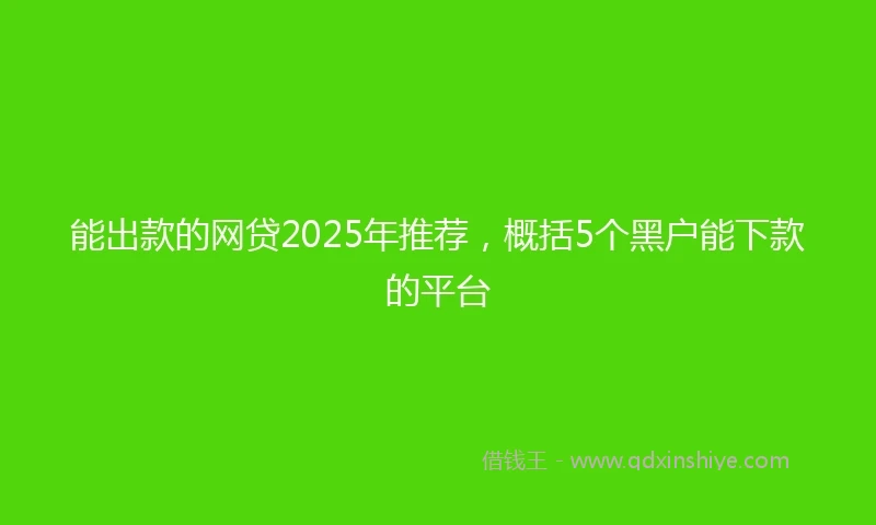 能出款的网贷2025年推荐，概括5个黑户能下款的平台