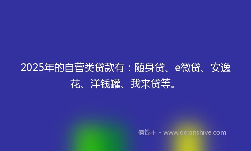 2025年的自营类贷款有：随身贷、e微贷、安逸花、洋钱罐、我来贷等。