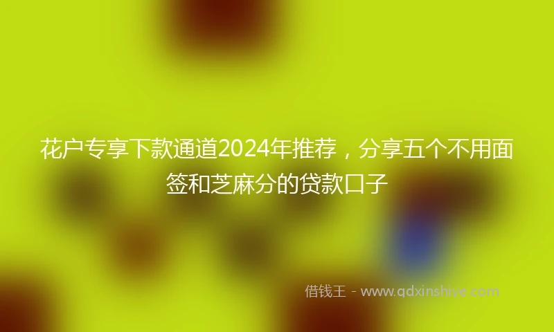 花户专享下款通道2024年推荐，分享五个不用面签和芝麻分的贷款口子