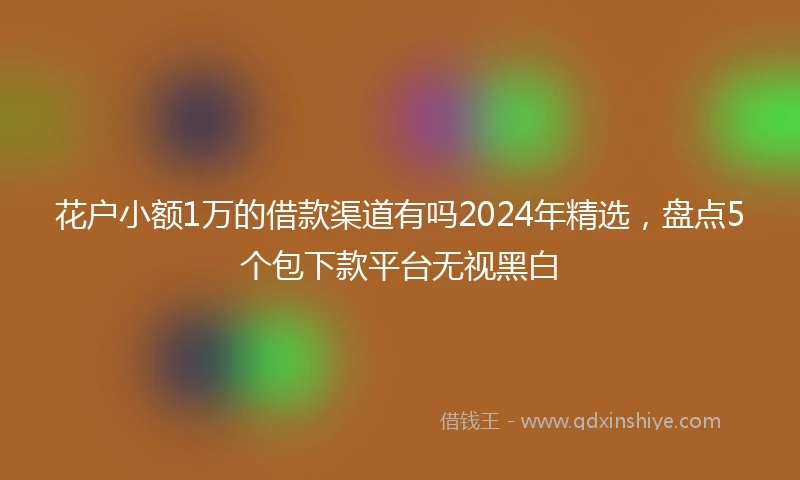 花户小额1万的借款渠道有吗2024年精选，盘点5个包下款平台无视黑白