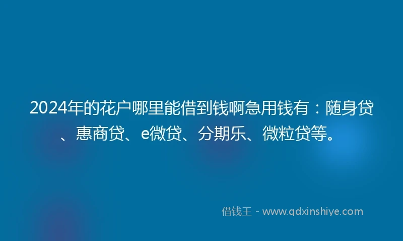 2024年的花户哪里能借到钱啊急用钱有：随身贷、惠商贷、e微贷、分期乐、微粒贷等。