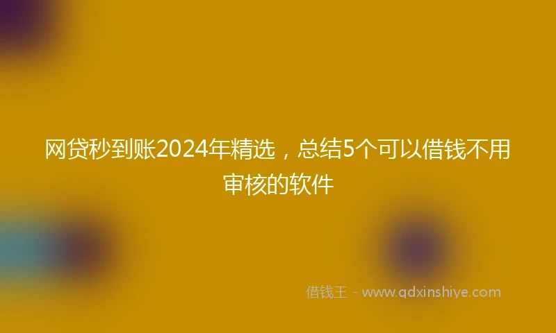 网贷秒到账2024年精选，总结5个可以借钱不用审核的软件
