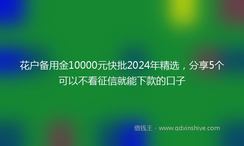 花户备用金10000元快批2024年精选,分享5个可以不看征信就能下款的口子