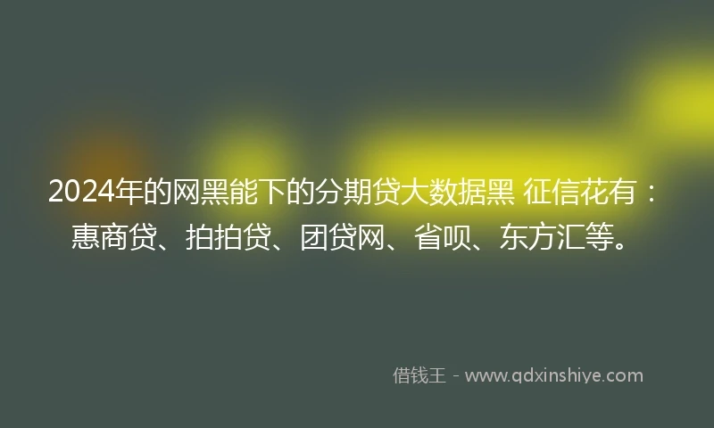2024年的网黑能下的分期贷大数据黑 征信花有：惠商贷、拍拍贷、团贷网、省呗、东方汇等。