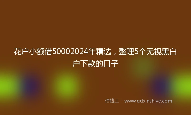 花户小额借50002024年精选，整理5个无视黑白户下款的口子
