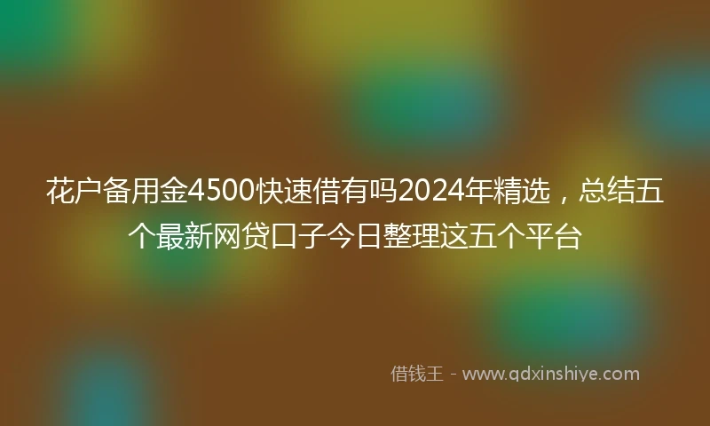 花户备用金4500快速借有吗2024年精选，总结五个最新网贷口子今日整理这五个平台