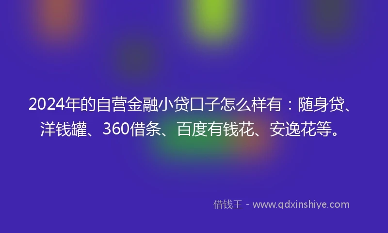 2024年的自营金融小贷口子怎么样有：随身贷、洋钱罐、360借条、百度有钱花、安逸花等。