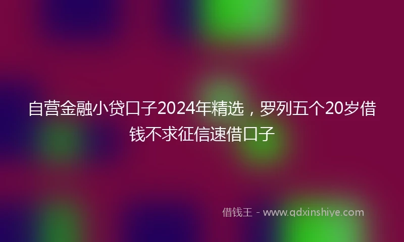 自营金融小贷口子2024年精选，罗列五个20岁借钱不求征信速借口子