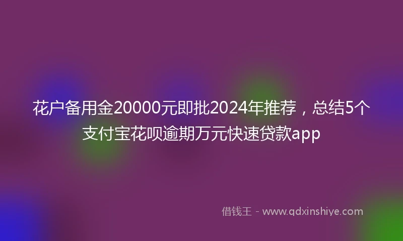 花户备用金20000元即批2024年推荐，总结5个支付宝花呗逾期万元快速贷款app