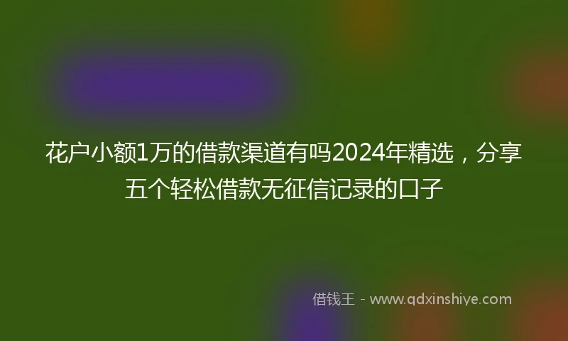 花户小额1万的借款渠道有吗2024年精选,分享五个轻松借款无征信记录的口子