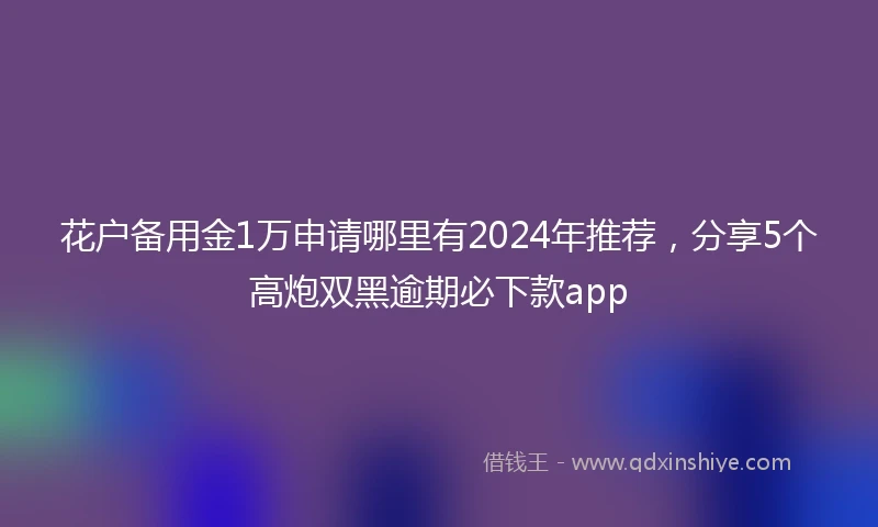 花户备用金1万申请哪里有2024年推荐，分享5个高炮双黑逾期必下款app