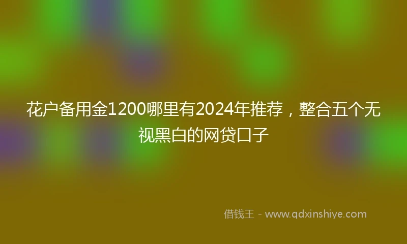 花户备用金1200哪里有2024年推荐，整合五个无视黑白的网贷口子