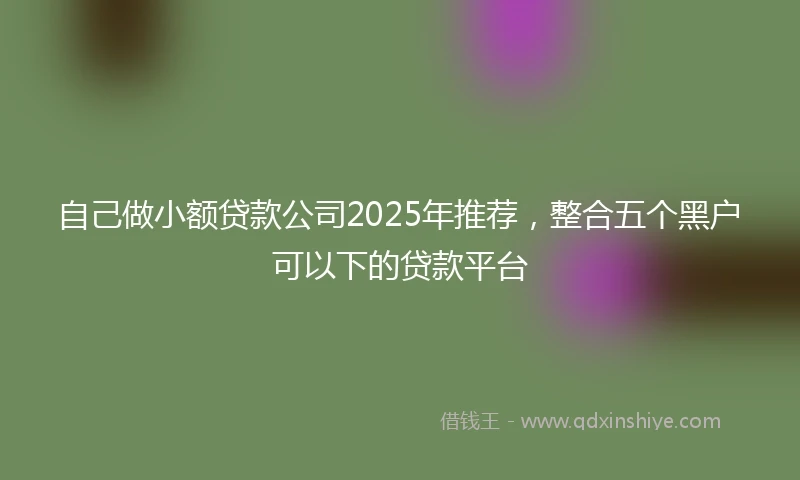 自己做小额贷款公司2025年推荐，整合五个黑户可以下的贷款平台