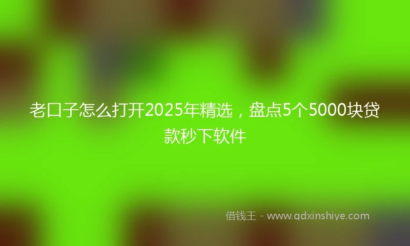 老口子怎么打开2025年精选，盘点5个5000块贷款秒下软件