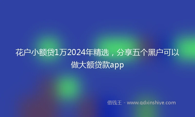 花户小额贷1万2024年精选,分享五个黑户可以做大额贷款app