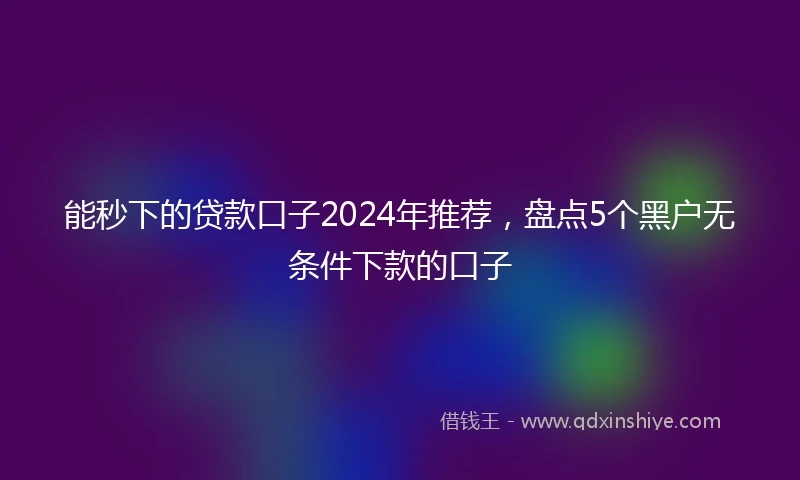 能秒下的贷款口子2024年推荐，盘点5个黑户无条件下款的口子