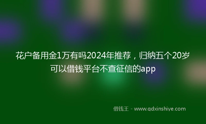 花户备用金1万有吗2024年推荐，归纳五个20岁可以借钱平台不查征信的app