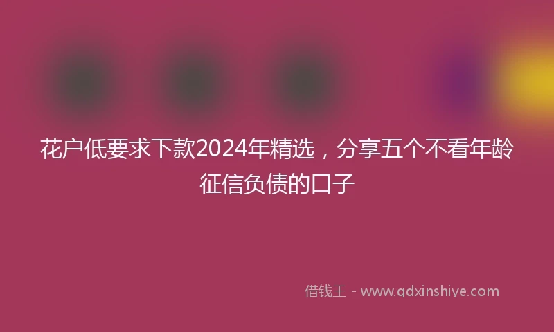 花户低要求下款2024年精选，分享五个不看年龄征信负债的口子
