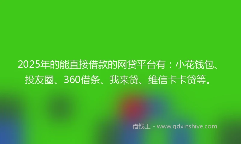 2025年的能直接借款的网贷平台有：小花钱包、投友圈、360借条、我来贷、维信卡卡贷等。