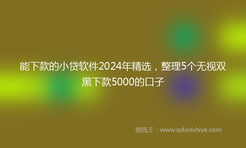 能下款的小贷软件2024年精选，整理5个无视双黑下款5000的口子