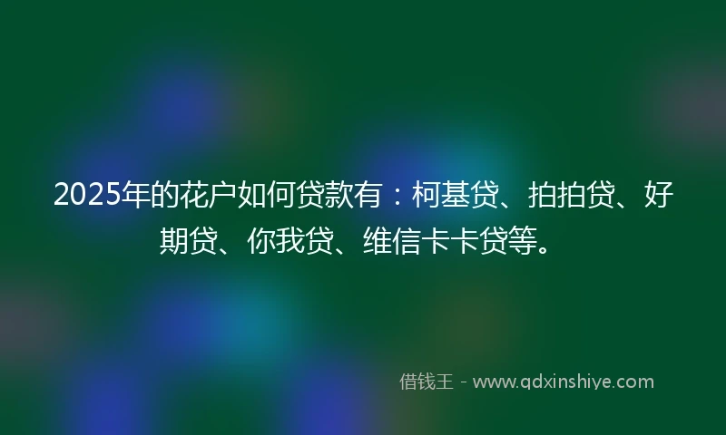2025年的花户如何贷款有：柯基贷、拍拍贷、好期贷、你我贷、维信卡卡贷等。