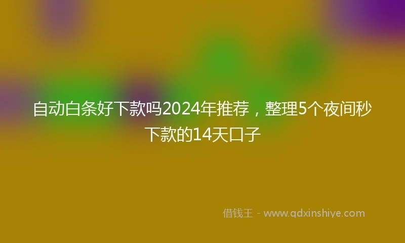 自动白条好下款吗2024年推荐，整理5个夜间秒下款的14天口子