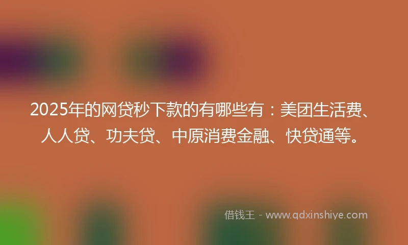 2025年的网贷秒下款的有哪些有：美团生活费、人人贷、功夫贷、中原消费金融、快贷通等。