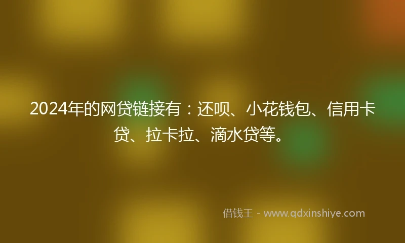 2024年的网贷链接有：还呗、小花钱包、信用卡贷、拉卡拉、滴水贷等。