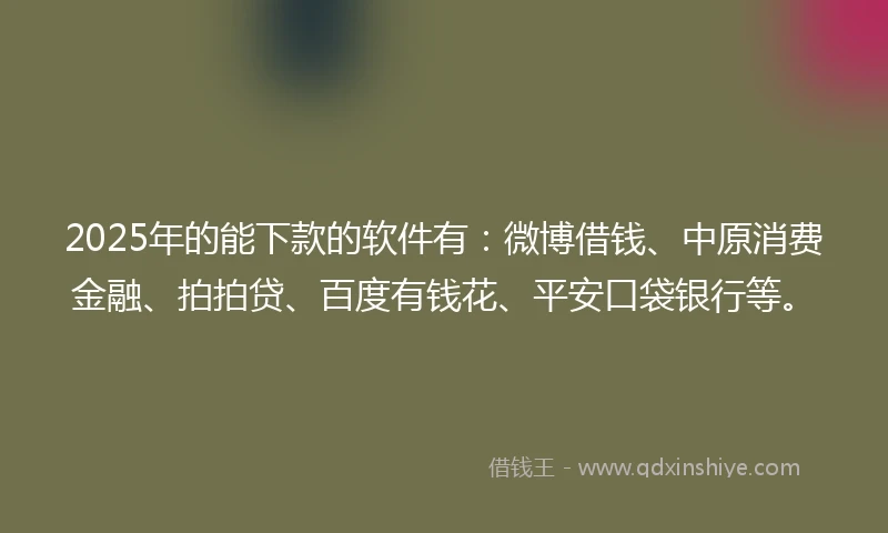 2025年的能下款的软件有：微博借钱、中原消费金融、拍拍贷、百度有钱花、平安口袋银行等。