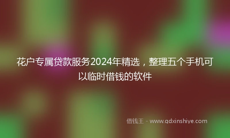 花户专属贷款服务2024年精选，整理五个手机可以临时借钱的软件