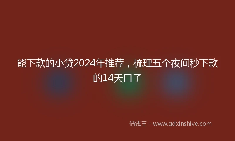 能下款的小贷2024年推荐，梳理五个夜间秒下款的14天口子