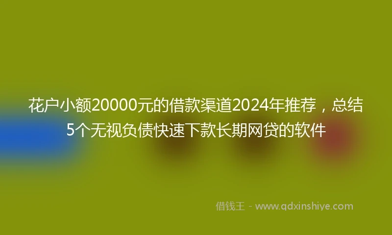 花户小额20000元的借款渠道2024年推荐，总结5个无视负债快速下款长期网贷的软件