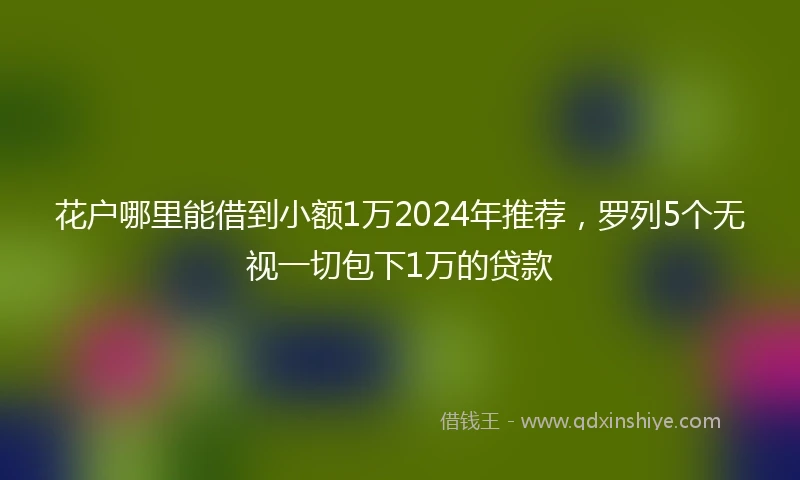 花户哪里能借到小额1万2024年推荐，罗列5个无视一切包下1万的贷款